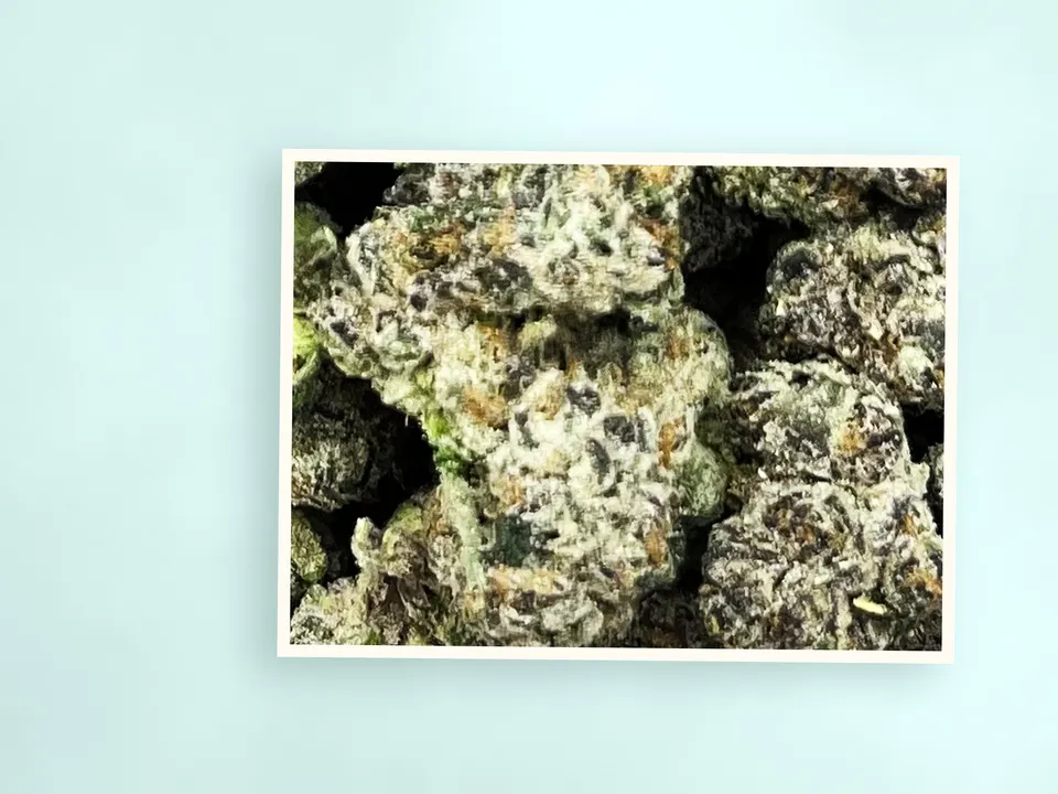 Cherry Slushie indoor THCA flower on a painted plank