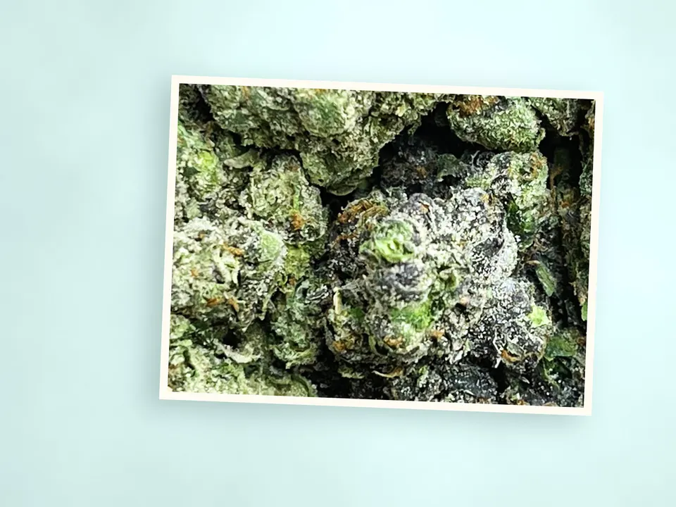 MOB indoor THCA flower on a painted plank