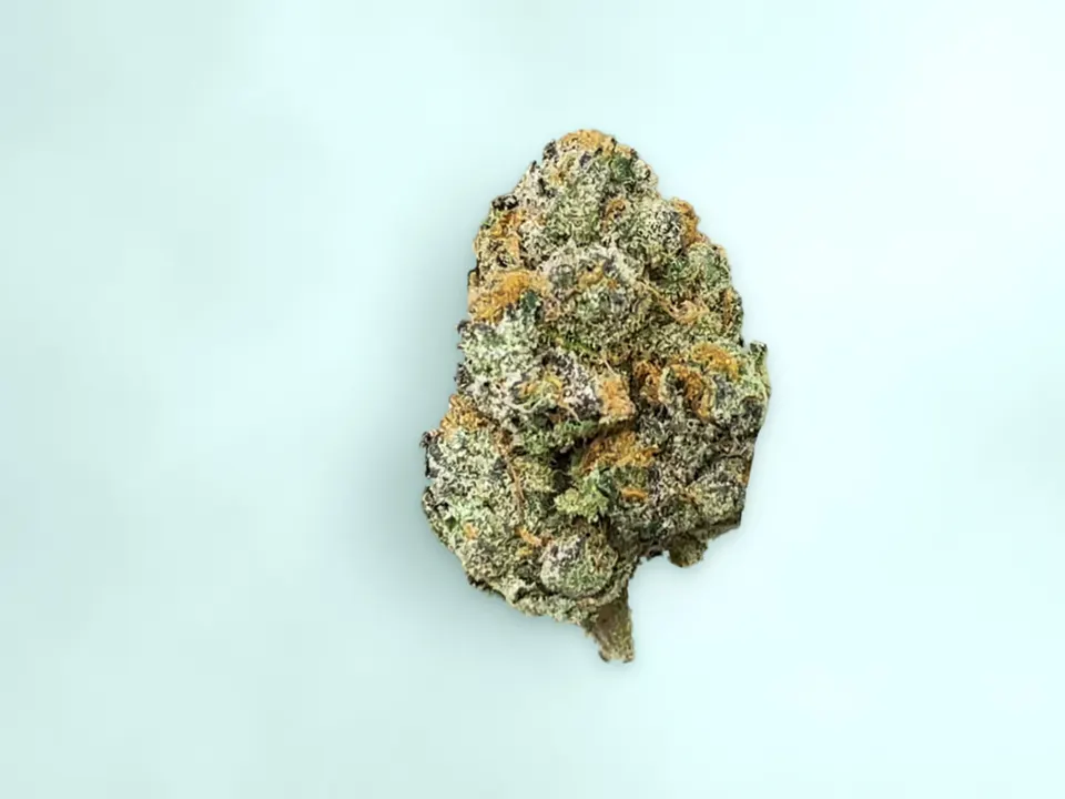 Purple Society indoor THCA flower on a painted plank